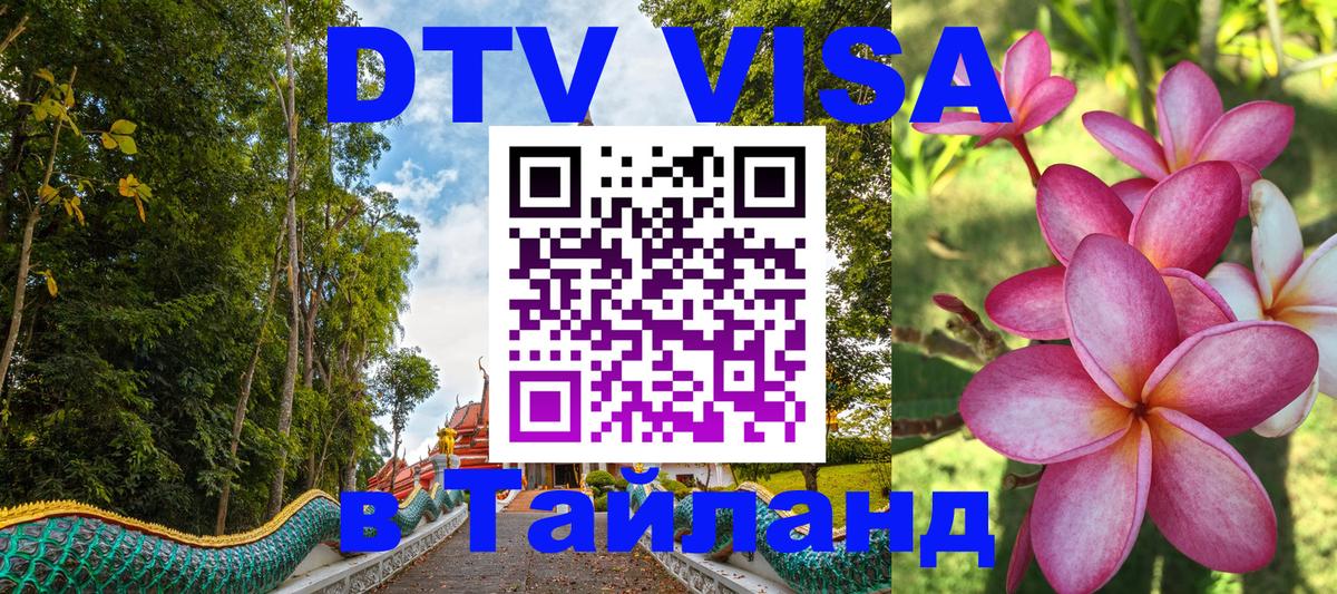 Оформление DTV визы под ключ: стоимость и тарифы, только загранпаспорт - Северодвинск  05.12.2025 